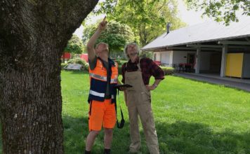 Erfassung geschützter Tierarten erleichtern: Schwabmünchen arbeitet jetzt digital mit App