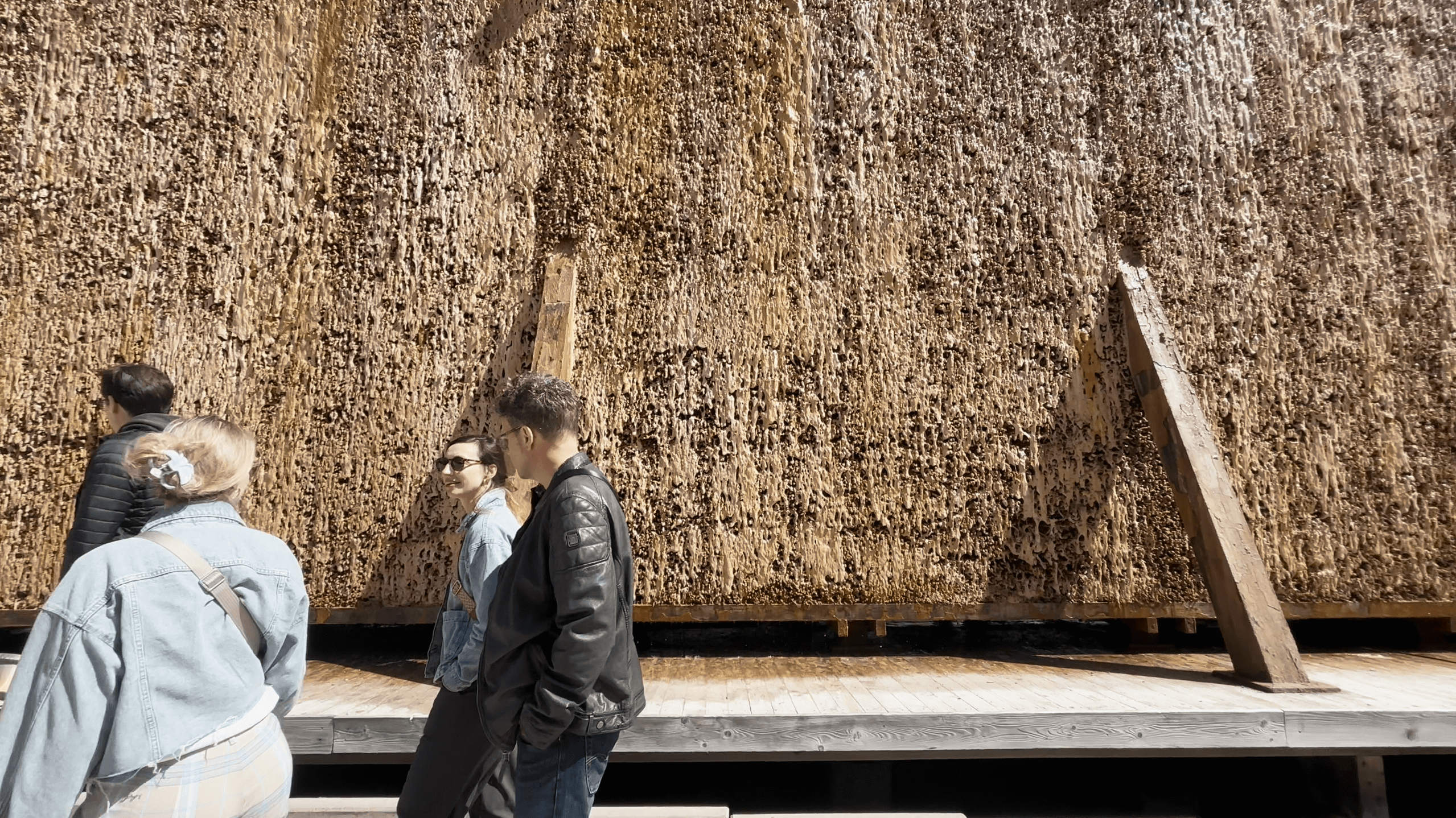 OWL-Workation Bad Salzuflen