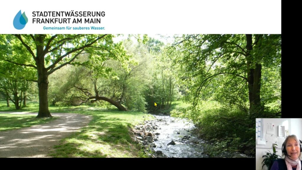 Smartes Wassermanagement in Frankfurt am Main